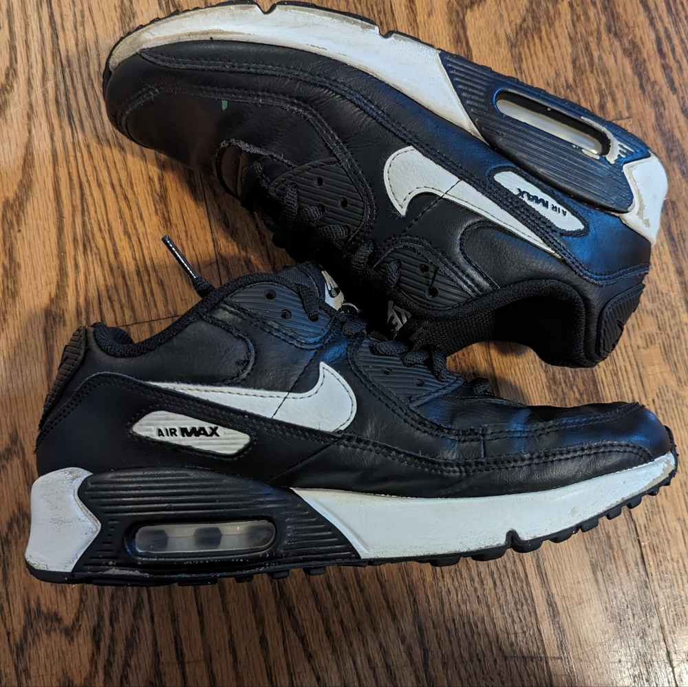 Nike Air Max Sneakers